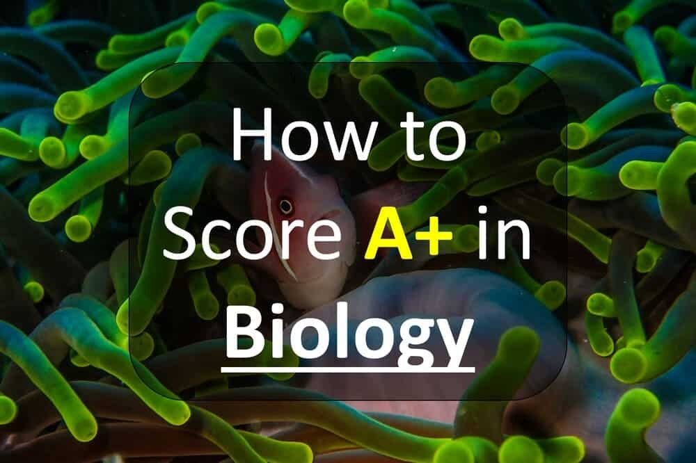 How to score A+ in Biology
